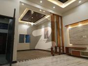 Available brand new luxury house ground + one 120 square...