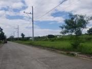 Available For Purchase: NEW FIELDS 2 Teresa Rizal: Prime...