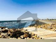 Available For Rent: 3 Bedroom Seafront Apartment In...