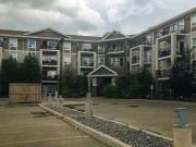 Available June 1 Beautiful 2 bedroom 2 bathroom in...
