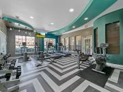 Avalon at Chase Oaks 1 Bedroom Apartment for Rent at 801...