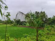 Avani Plots In Vindhane,Vindhane Residential Plot For...