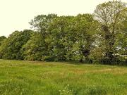 Avanton 86170 Achat / Vente terrain au dernier étage cave