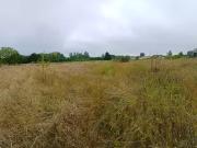 Avanton 86170 Programme neuf terrain neuf à vendre