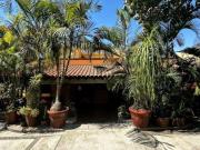 Ave Estado de Puebla