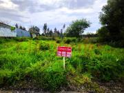 Aveiro Aveiro 88782203