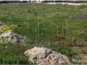 Aveiro Aveiro 94072240