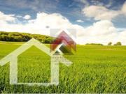 Aveiro Aveiro 94126583