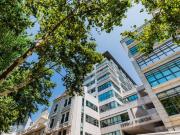 Avenida da Liberdade