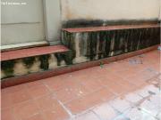 Avenida Lluís Companys, 21