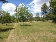 Avensan Vente Terrain 33