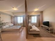 Avida Cityflex Tower 1 Studio Unit