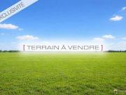 Avignon Provence 99129332