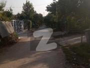 Awami villas 1 for rent renovation Bahria Town Phase 8...