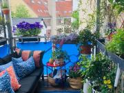 Awesome, modern home in Kreuzberg, Berlin Amsterdam...