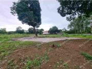 Ayala Alabang Village 4356sqm Lot