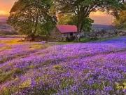 Azay le Rideau 37190 Programme neuf terrain neuf à vendre