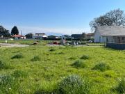 Azereix Vente Terrain 65