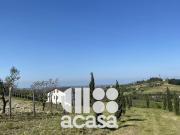 Azienda agricola 10 vani 80500mq