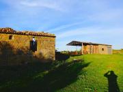 Azienda agricola a soli 6km da Pitigliano, 24km dalle...