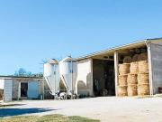 Azienda Agricola con Villa in Toscana, Grosseto 250m²...