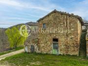 Azienda agricola di circa 70h con casale rudere di 550...