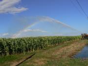 Azienda Agricola Grosseto