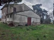 Azienda agricola in affitto a Campagnatico