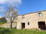 Azienda agricola in affitto a Pitigliano