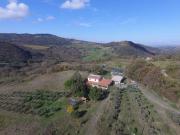 Azienda agricola in affitto a Scansano