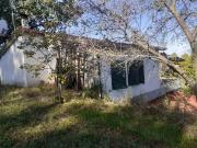 Azienda agricola in affitto a Scansano