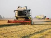 Azienda Agricola in provincia di VC