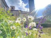 Azienda agricola in vendita a Agazzano