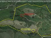 Azienda agricola in vendita a Arcidosso