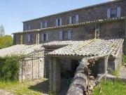 Azienda agricola in vendita a Bagnoregio