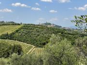Azienda agricola in vendita a Calenzano San Miniato...