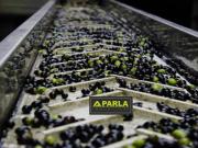 Azienda agricola in vendita a Caltanissetta