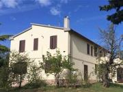 Azienda agricola in vendita a Campagnatico