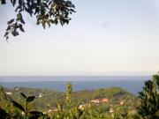 Azienda agricola in vendita a Campo Nell'Elba