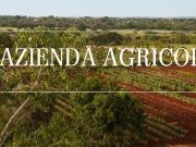 Azienda agricola in vendita a Capalbio