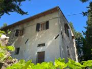 Azienda agricola in vendita a Castelfiorentino composto...