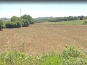 Azienda agricola in vendita a Castell'Azzara
