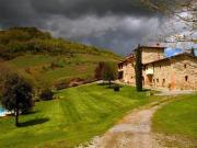 Azienda agricola in vendita a Castelnuovo Berardenga
