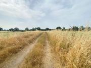 Azienda agricola in vendita a Castiglione Del Lago