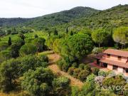 Azienda agricola in vendita a Castiglione Della Pescaia