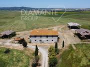 Azienda agricola in vendita a Castiglione D'Orcia