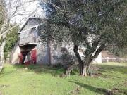 Azienda agricola in vendita a Castiglione D'Orcia