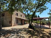 Azienda agricola in vendita a Cetona