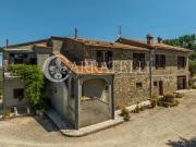 Azienda agricola in vendita a Cinigiano