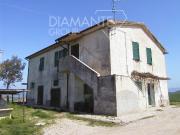 Azienda agricola in vendita a Cinigiano